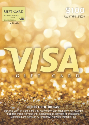 100 USD Virtual Visa Gift Card