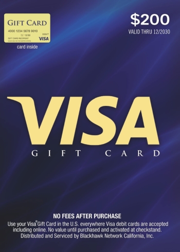 200 USD Virtual Visa Gift Card