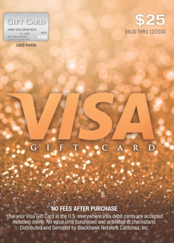 25 USD Virtual Visa Gift Card