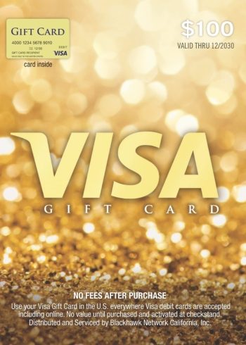 100 USD Virtual Visa Gift Card