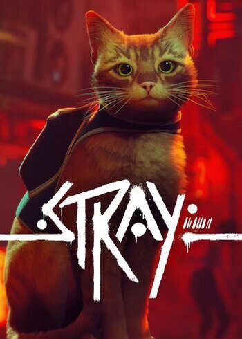 Stray
