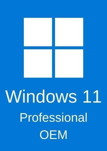 Windows 11 Professional OEM